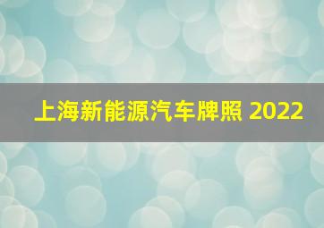 上海新能源汽车牌照 2022